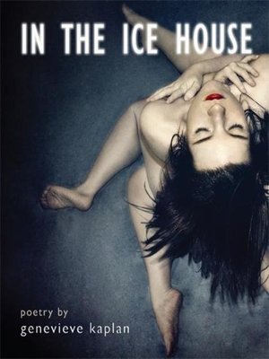 cover image of In the ice house